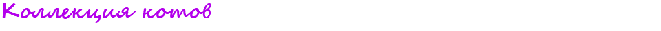 Коллекция котов