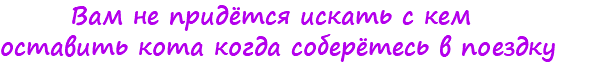 &nbsp;Вам не придётся искать с кем оставить кота когда соберётесь в поездку
